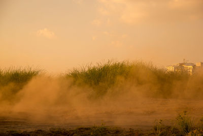 Scenic view of field against sky during sunset