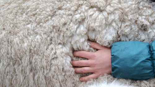 Midsection of child lying on rug