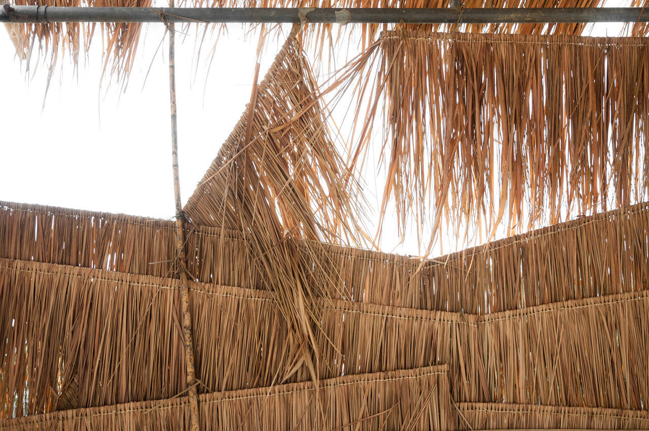 CLOSE-UP OF DRY PLANTS ON ROOF