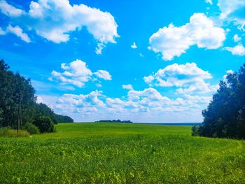 Scenic view of field against sky