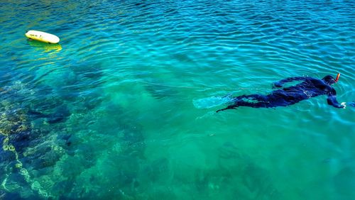 High angle view of man snorkeling in turquoise sea