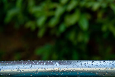 Close-up of water drops on leaf