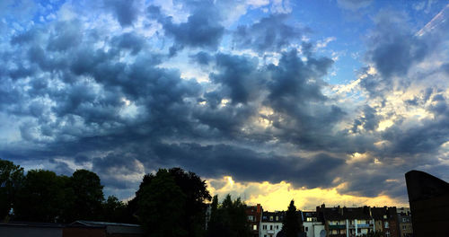 Trees against cloudy sky