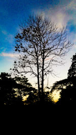 Silhouette bare trees against sky during sunset