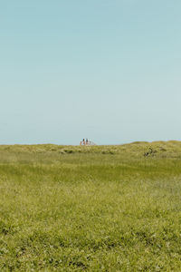 Scenic view of grassy field against clear sky