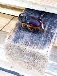 Close-up of wooden planks