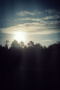 Silhouette of trees at sunset