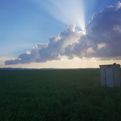 Scenic view of field against bright sun