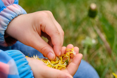 Close-up of hands holding plant