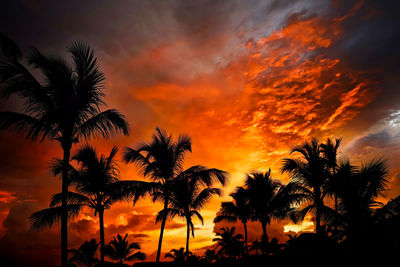 Low angle view of silhouette palm trees against dramatic sky