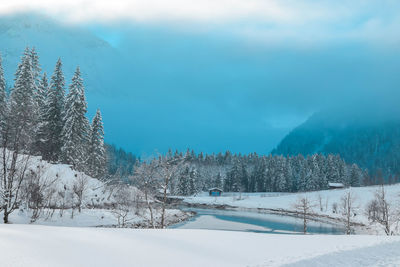 Winter view landscape