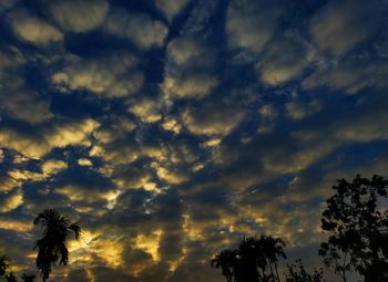 Low angle view of silhouette trees against dramatic sky