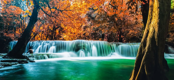 Scenic view of waterfall in forest during autumn
