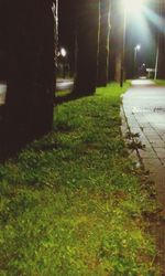 Illuminated street lights at night