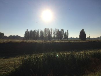 Sun shining over countryside landscape