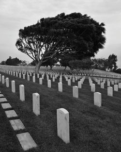 Tombstones at cemetery