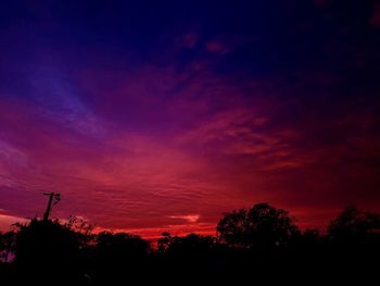 Low angle view of silhouette trees against sky during sunset