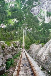 High angle view of railroad tracks amidst trees