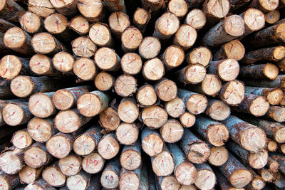 Full frame shot of logs