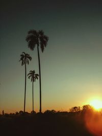 Silhouette trees against clear sky during sunset