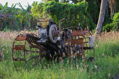 Old ruin amidst trees on field