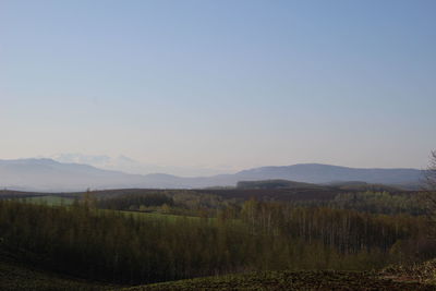 Scenic view of landscape against clear sky