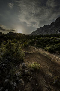 Scenic view of landscape against sky