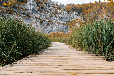 Wooden path in plitvice lakes national park in croatia in autumn