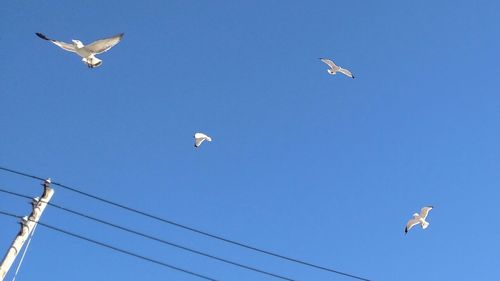 Low angle view of airshow in sky