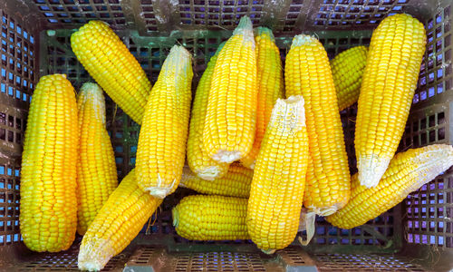 High angle view of yellow vegetables in market