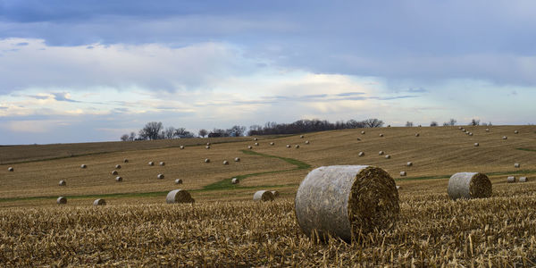 Hay bales on field against sky