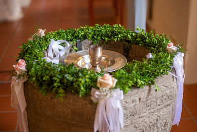 Potted plants on table