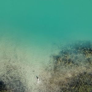 High angle view of swimming underwater