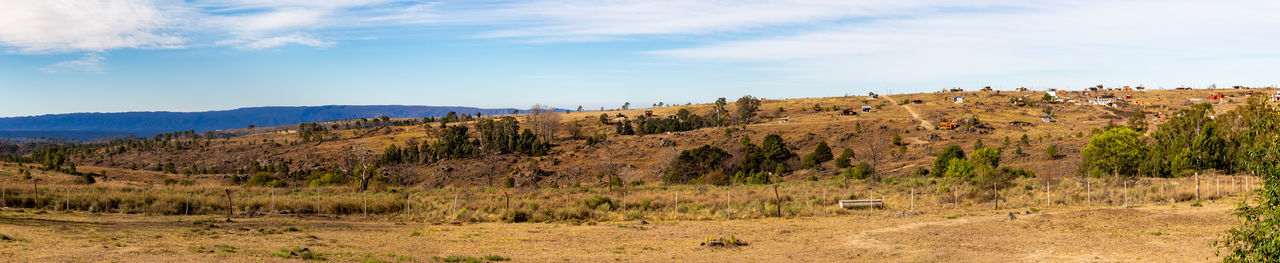 wilderness