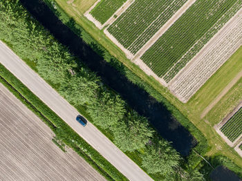 Directly above shot of road by agricultural field