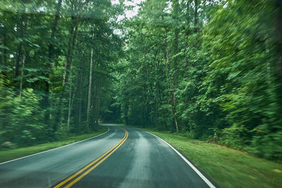 Road amidst trees in forest