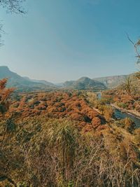 Scenic view of land against clear sky