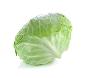 Close-up of green leaf against white background