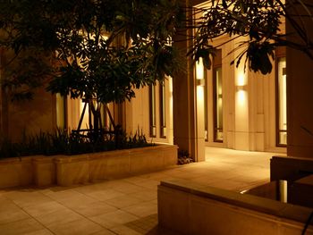 architecture