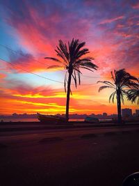 Silhouette palm trees against sky during sunset