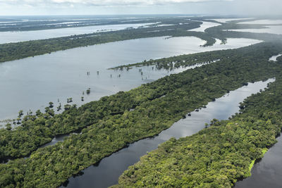 Beautiful aerial view to negro river green amazon island archipelago