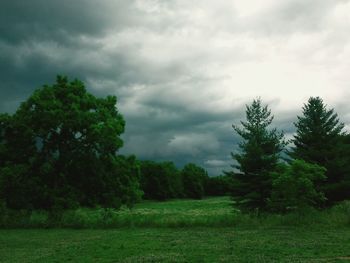 Scenic view of grassy field against cloudy sky