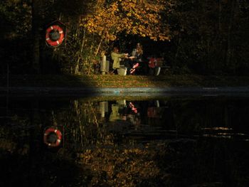 Reflection of trees in water