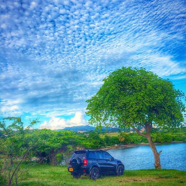 transportation, land vehicle, car, mode of transport, sky, tree, cloud - sky, road, grass, nature, cloud, blue, travel, field, landscape, on the move, beauty in nature, outdoors, cloudy, growth