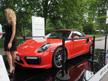 Rear view of woman on car against trees