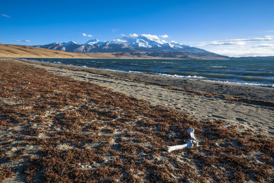 Clean landscape in tibet china.