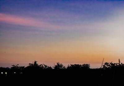 Silhouette trees against sky during sunset