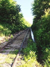 Railway tracks amidst trees against sky