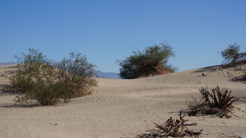 Scenic view of desert against clear blue sky