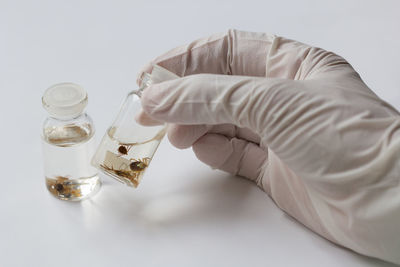 Close-up of human hand against white background